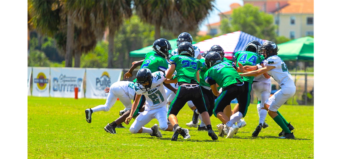 Estero Mustangs Football & Cheer